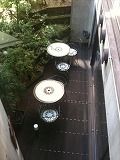 IMG_1981