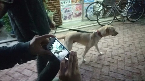 MOV_3015_000000