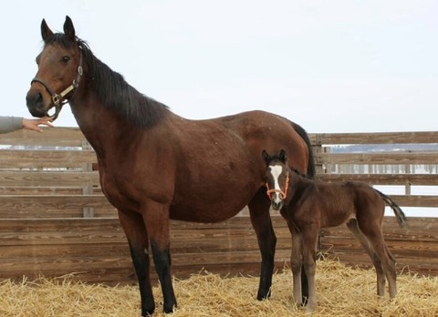 04B0AA65-3777-4914-B06A-C962F565609E