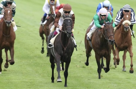 78B6B811-0179-4917-9ADA-BE94336E69E7