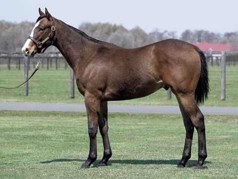 214EEDAF-52E9-4C38-8D20-7EE4DE2C96C9