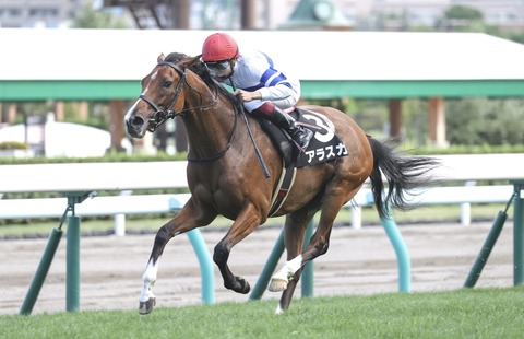 5CCD7FE6-5541-4E20-A3ED-6FBA48A03409