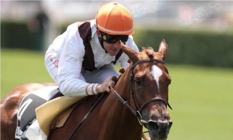 CEE6E471-8737-46F0-AE1B-11FA71FA25CB