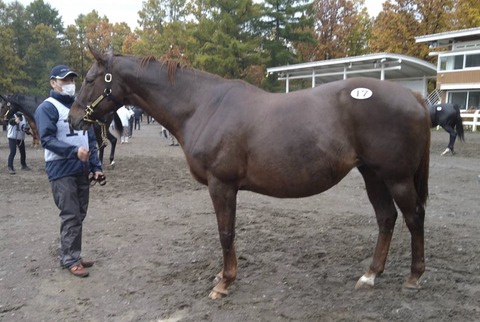 7AF78F13-111B-44F7-A897-1078181B4898