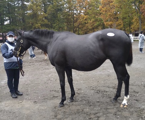 49F127CE-7190-4D37-8F18-03513D2F7F1E