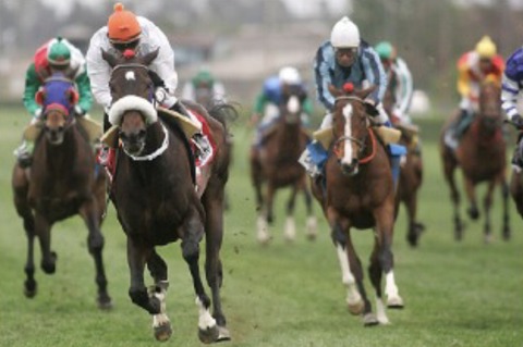 20E300EA-ECF8-45C8-8CB6-3E7F91F87357