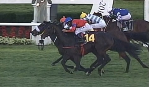 FDC58447-DB39-474F-9E8D-35822B5C9192