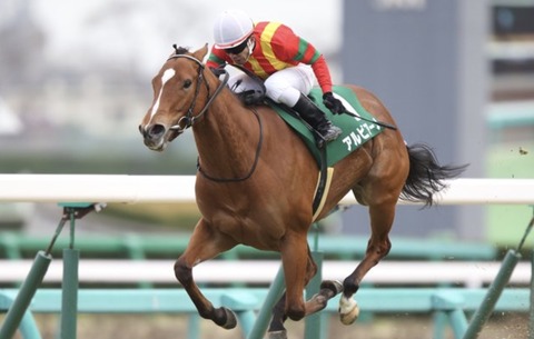 D592F54E-AA11-49FD-A5AD-BA7A10777D47