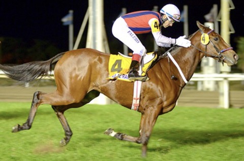 B24FF149-312F-407E-95DF-B59CF67FB195