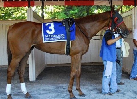 9AAF9CE2-F336-4E0A-A4A8-A06A54C5B2A6