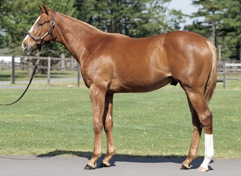 F4A5FB1D-4D72-410C-90F6-D500B257210C