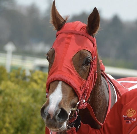 C16660A9-4916-4313-91A7-FE4C6C6BDD6C