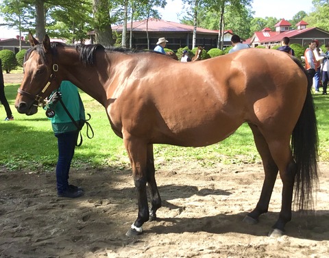 26ADA429-1256-4D4B-A1C9-451300428B92