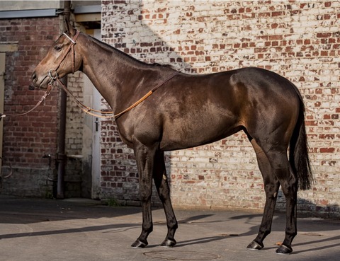 FAD9B7C2-BE54-4F71-BC8E-354E20A37A33