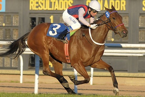 2A43F0B4-88FB-4770-A02E-2BE99A231187