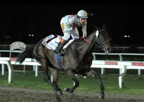 2C22D9A9-DACB-411C-8CBD-A537A33D11C6