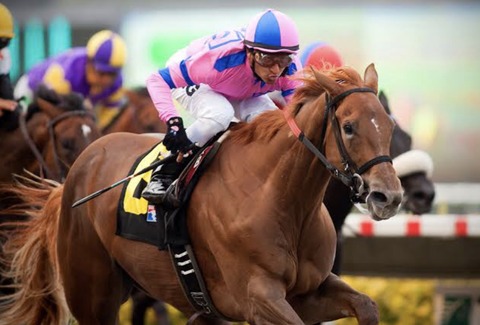 07461218-3E9D-4E70-8620-2AE87CB4F681