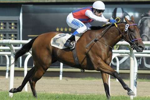 239339DA-0387-4CFC-BF23-19FC83DEDF07