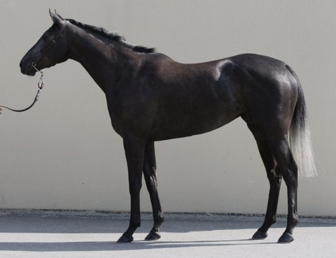 BD24DA55-B05A-421B-B6E3-C6278C05A54C