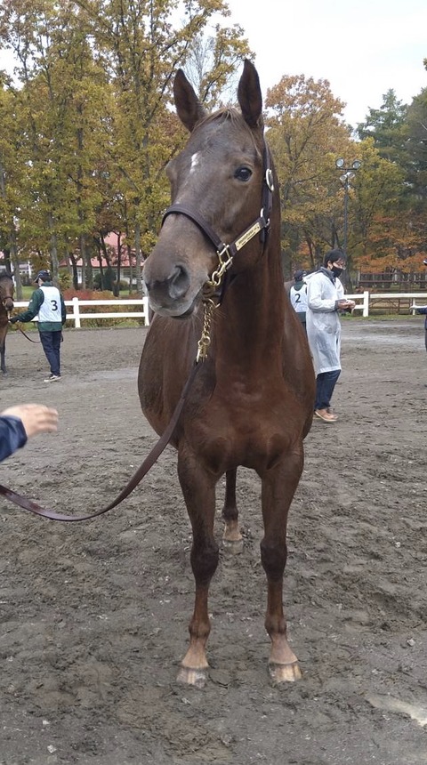 49390C23-C993-4F89-BE7A-C3C17C36C6A4