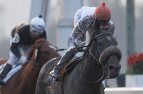 5CC0A113-4DFE-48A6-9E24-F8EF77C87564