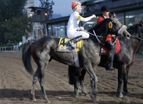 B667E836-5AC0-45A7-8A00-3FD668D6B1CE