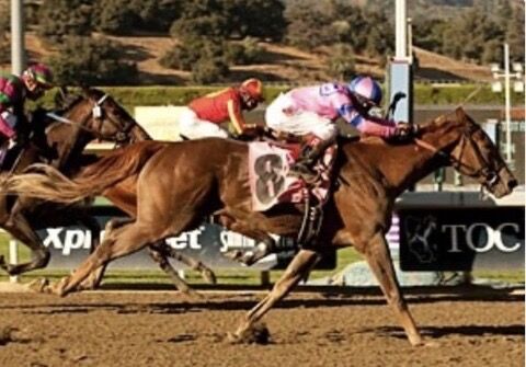 2A797DF2-B973-4A51-B81E-FEA4C911545B