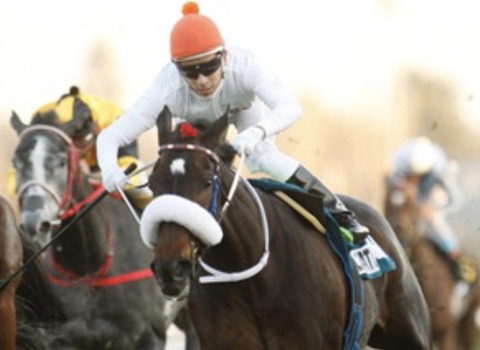 046B919E-9D0F-4E31-89A0-FBE11336BA4A