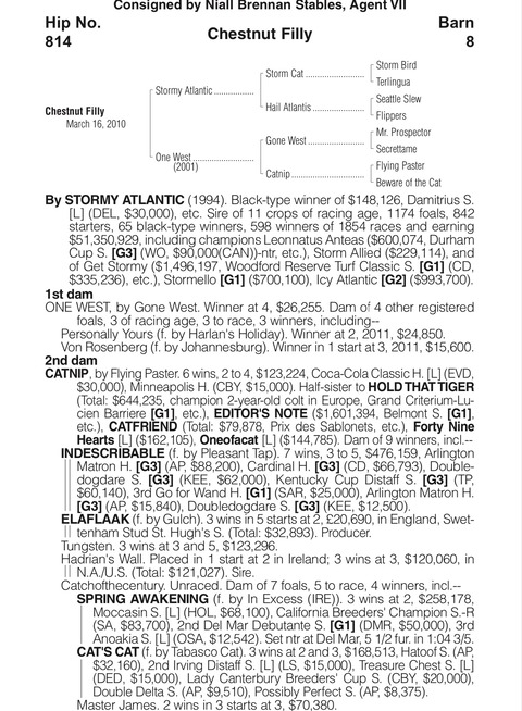 76E00421-42D2-4152-BEAB-078B1BB378CB