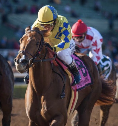 352A89B8-74E4-499A-A649-58B1DB90C945