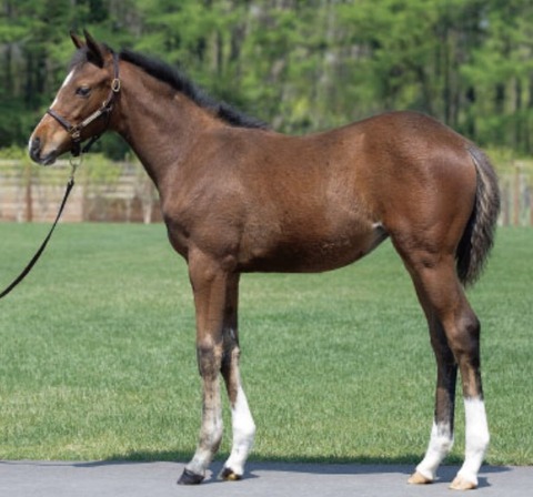 726A2B02-6366-443E-A68C-F92A9704EAA2