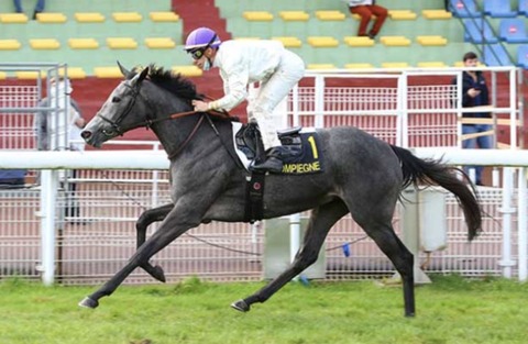 BA900860-7C2A-4702-90D4-4CD8117026C0