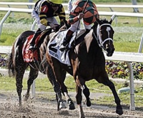 74B1EFCE-D6B7-4872-80C4-B45E33DF25B9