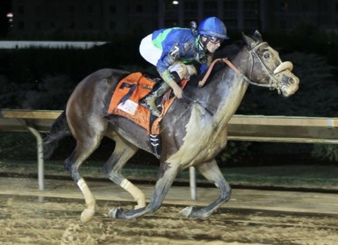 DE9A482D-194D-4208-9AF0-4E145B26ABD9