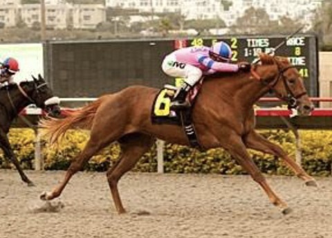 5F77E328-5001-4CAD-8E7D-F0413D6A8B73