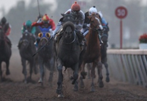 60F435EE-4F2A-4B18-9AEB-E1D211DEE020