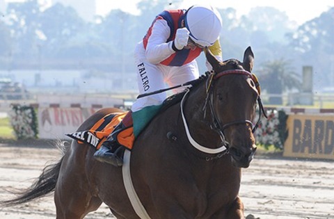 31A43C02-5805-4E82-9B24-DDEEB1CB577C