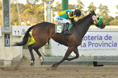 33F308DC-BD90-4FBD-9397-196115F25731