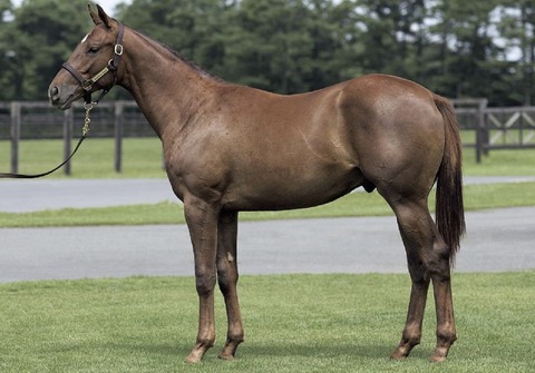 96FF6D9F-5E6E-47C7-910B-DB5CD3E86018