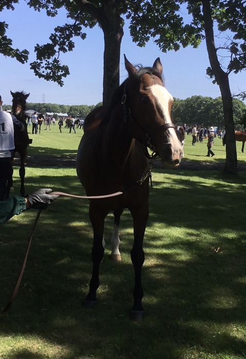 5E739250-FD2A-45F4-901A-905D33EC81EE