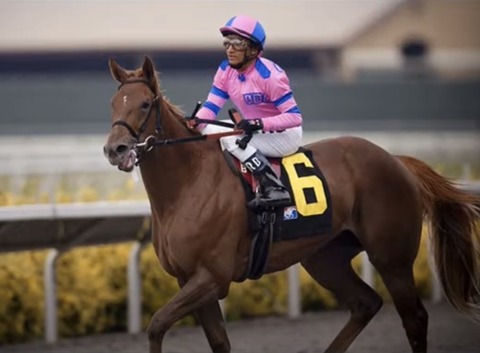 49FC4AED-1382-4CC6-979D-A004CC884A12