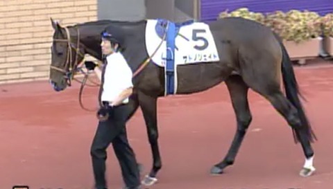 24485AB4-AF6D-4A4A-8A0F-09A773A36D8D