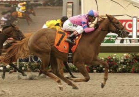 E75F903A-EAA4-44B0-BEA8-BA9316744EB5