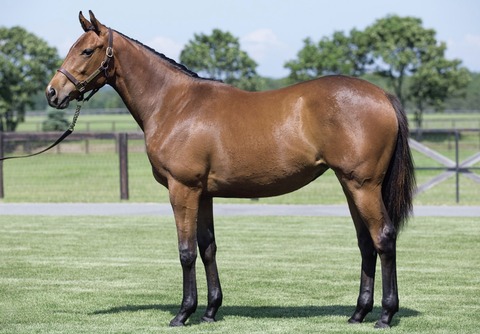 F7AF36C0-1827-4E10-B2B1-FFD341101E8C