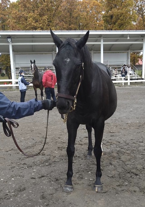 3263FBBA-AA42-4C25-8225-B46DFF292E44