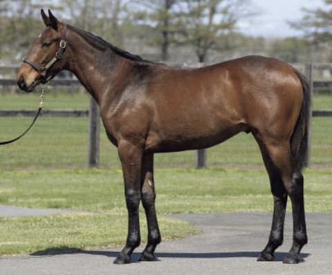 58408B03-28E6-4983-A77A-521732665100