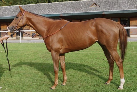 582C00E3-A082-4AA6-8CEF-549FCC0AED76