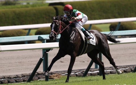 79AA0E3B-9F92-49F5-9B06-EE00D7A24E28