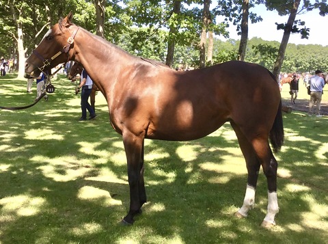 2041A3AA-2392-426E-8148-52D2E8B44C0E