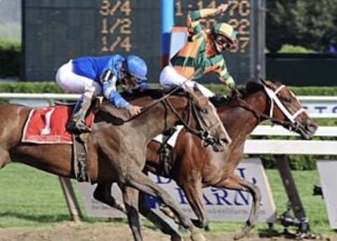 4CD3E833-6778-4E46-92F7-9F5294D39DF9